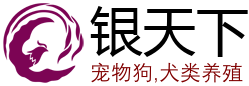 银天下宠物狗有限公司